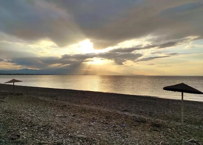 Angel Paradise 別荘 *